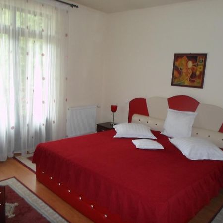 Pensiunea Speranta Hotell Sovata Exteriör bild
