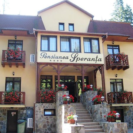 Pensiunea Speranta Hotell Sovata Exteriör bild