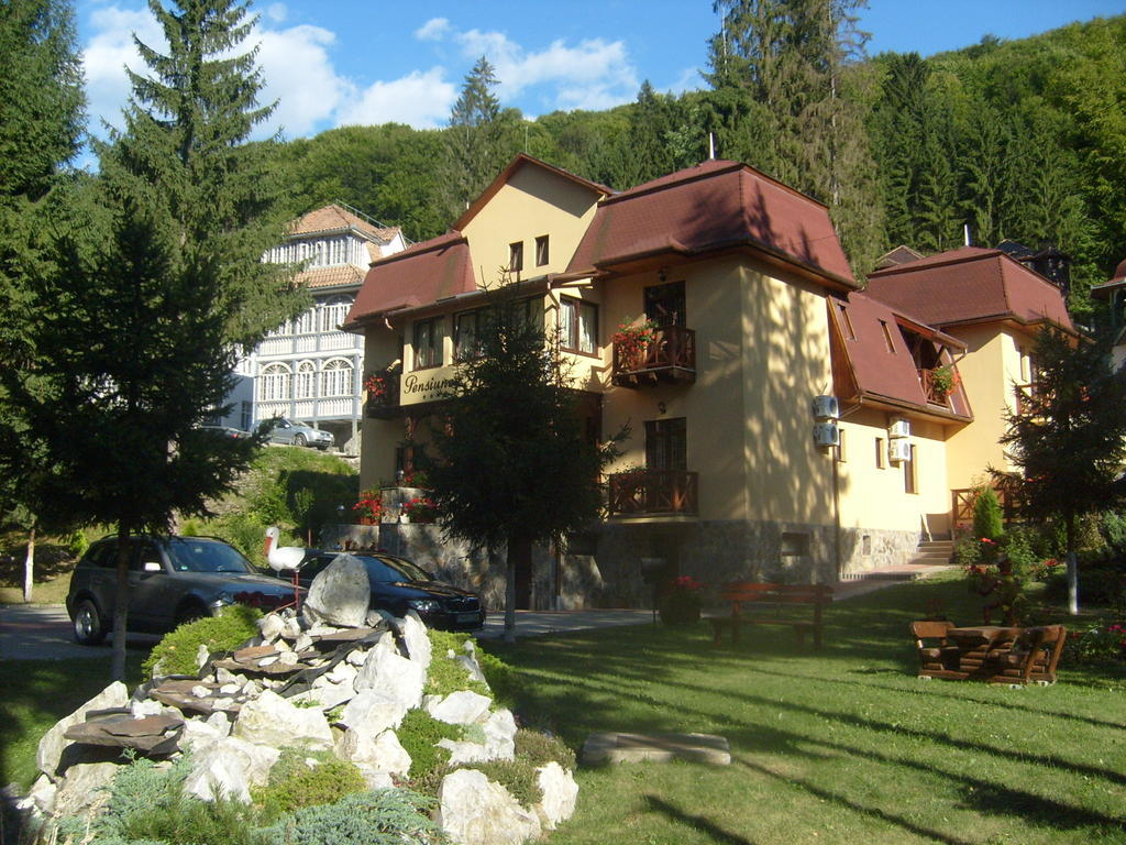 Pensiunea Speranta Hotell Sovata Exteriör bild